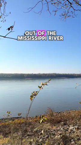Let’s catch a fish out of the #Mississippi #river #fishing #foryou #vibes 