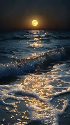 #foryou #viral_ #pourtoipage #ftypシ #foryoupage❤️❤️ 