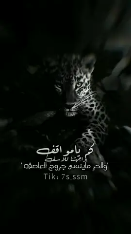 #تصميم_فيديوهات_تصميمي #متابعه_ولايك_واكسبلور_فضلا_ليس_امر #xplore 
