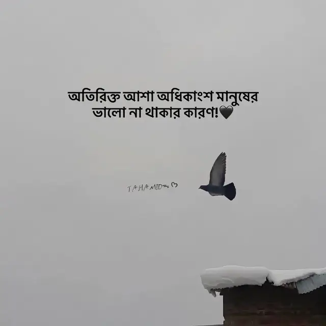 #TA_HA_MIDᯓᡣ𐭩  #tiktokvira #furyou  #😔😔😔🥀  #ইনশাআল্লাহ_যাবে_foryou_তে। 