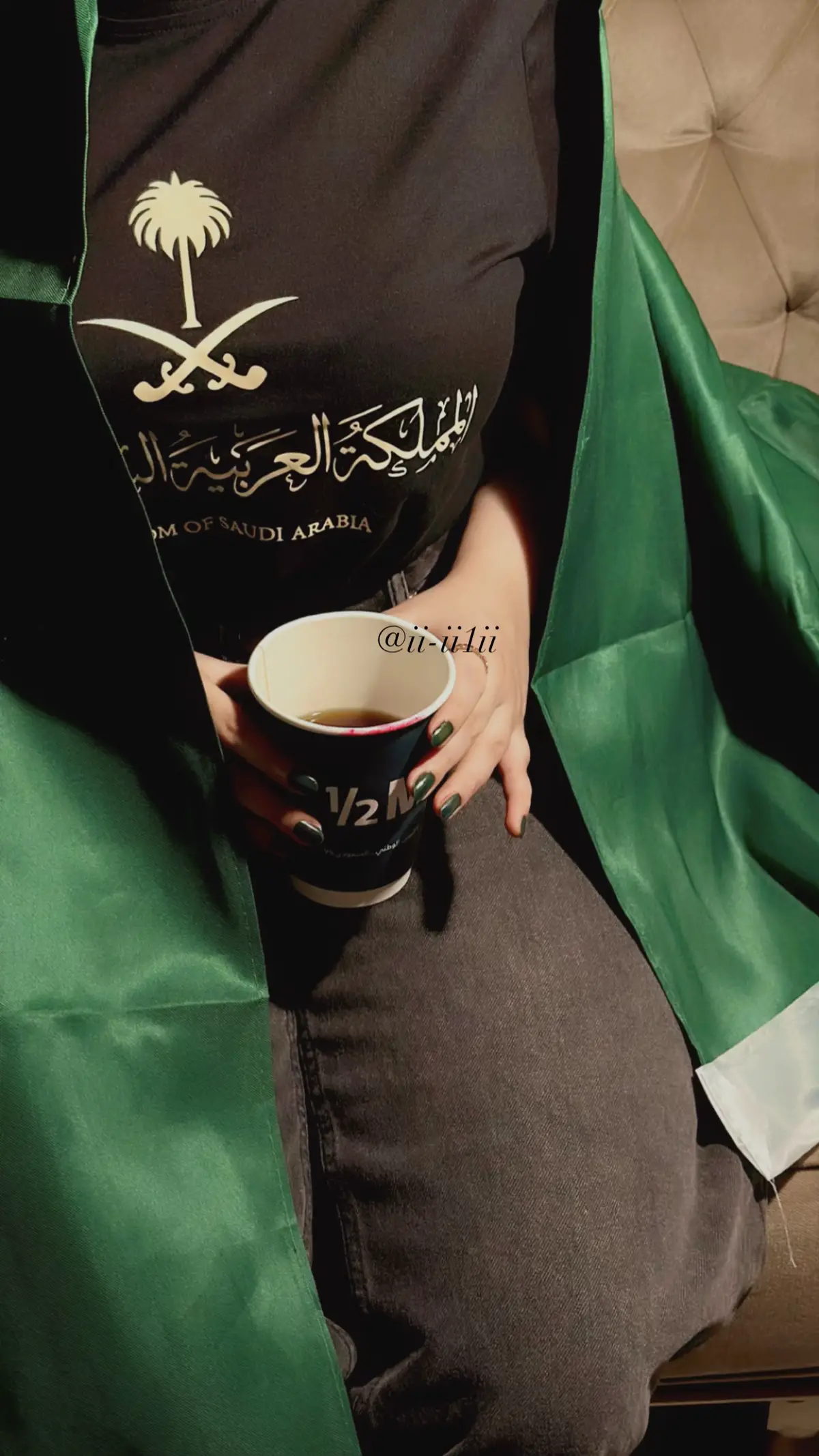 #اليوم_الوطني_95 #السعوديه🇸🇦💚 #لايك__explore___ 