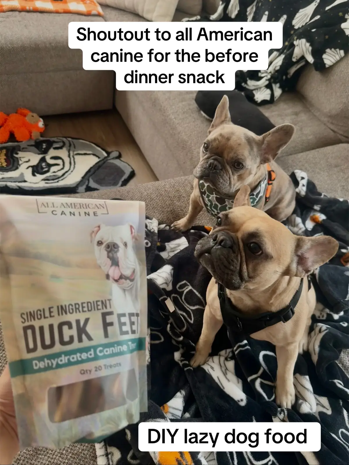 @allamericancanine tha frenchies highly approve perfect chew to keep them out of the kitchen while I cook and as I like to say it’s giving 5 STAR ⭐️ good quality quick shipping all that we love it and so will your dog 👀 #dogsoftiktok #50centthafrenchie #frenchie #fyp 