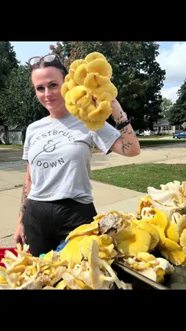 One of the great loves of my life is mushroom foraging. There’s nothing like the feeling of providing food for yourself and your family, from the land. Fishing, hunting, growing a garden, foraging… SO GOOD! I brought home 20 lbs or golden oysters today & 2 bags of puff balls. 😊 🥰 #mushrooms #mushroom #foraging #forest #realfood 