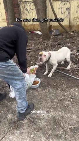 This girl was left in an alley way to die 😢😔. #dogsoftiktok  #straydog #rescuedog #doglover #dogs 