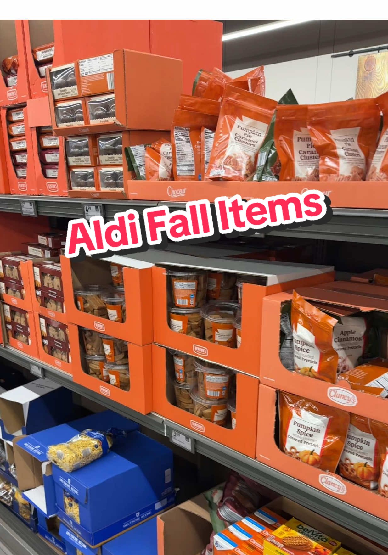 Aldi fall items are innnn friend 👀