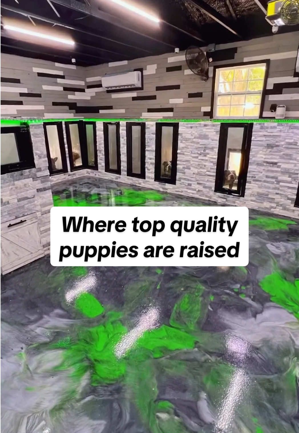 Where luxury living meets elite quality puppies. Our property and kennel aren’t just facilities, they’re a resort-style environment designed to give every dog and puppy the highest level of care, structure, and love. From day one, our puppies are raised in a world-class setting, and it shows in what we produce confident, well-balanced, stable, and healthy companions that carry the type of elite genetics you can build a program or a family around. Most of our litters are reserved before the puppies are even born, and that’s no accident. Families and breeders alike know that when they choose us, they’re investing in a bloodline and a program that’s recognized across the country. If you’re looking for your next family companion or a foundation puppy to elevate your breeding program, this is where quality starts. Spots fill quickly, so reach out now to get on the waitlist. I have upcoming litters and possibly even a few puppies available when you’re seeing this. #bulldogbreeder #doglover #bulldogs #englishbulldog #frenchbulldog  Why Choose Big Bone Bulldogs? ✅Located in Central Florida – Easy access for local families! ✅ Meet the parents & tour our facility – both virtually and in person. ✅ Top-Quality Bloodlines – Hand-selected for health, structure, and temperament. ✅ Transparency: With live streams like this one, you see exactly how my puppies and adults are raised every step of the way. ✅ Expertise You Can Trust: As one of the top bulldog breeders in the country, I’m committed to responsible, ethical breeding. ✅ A Risk-Free Experience: The bulldog market can be full of scams, but with me, you’ll get a trusted breeder who delivers top-quality puppies. ✅ Health Guarantee – Our puppies come vet-checked, vaccinated, and well-socialized. ✅ Lifetime Support – We guide you through every step of your puppy’s journey. ✅ AKC registered, health-checked, health guaranteed and raised with care. ✅ Nationwide Shipping – Bringing your perfect puppy to your door, anywhere in the U.S. RESERVE YOUR PUPPY NOW https://bigbonebulldogs.com/contact 🌐 Visit our website: https://www.bigbonebulldogs.com/