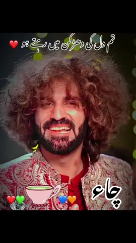 aa main Tenu Chaa pilawan ❤️💙💚🧡❤️☕️ #aamaintenuchaapiyawah #funnyvideos #funnytiktok #funnyvideos😂 #funnyqawali 