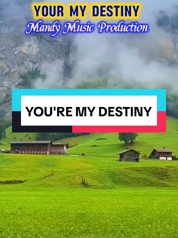 #songlyrics #viralvideo #followers #fyp 