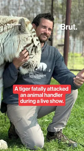 Ryan Easley died at his private facility, Growler Pines Tiger Preserve in Oklahoma, after suffering a tiger bite during a show. #Tiger #Oklahoma #TigerBite #PETA #TigerKing