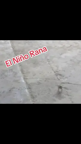 #ElNiñoRanaGt #elniñodetiktok  #Viral