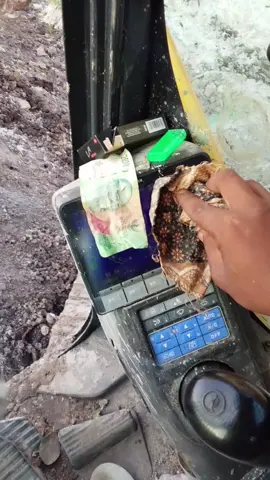 kotor e alatku 🥱