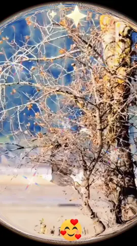 #تحياااااااااتي❤️🥰🤗😘🌹 