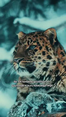 #fypage #fyppppppppppppppppppppppp #keşfet 