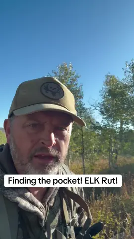 When you find pocket of elk in the rut! #hunting #bow #elkrut #bonecollector #biggame 