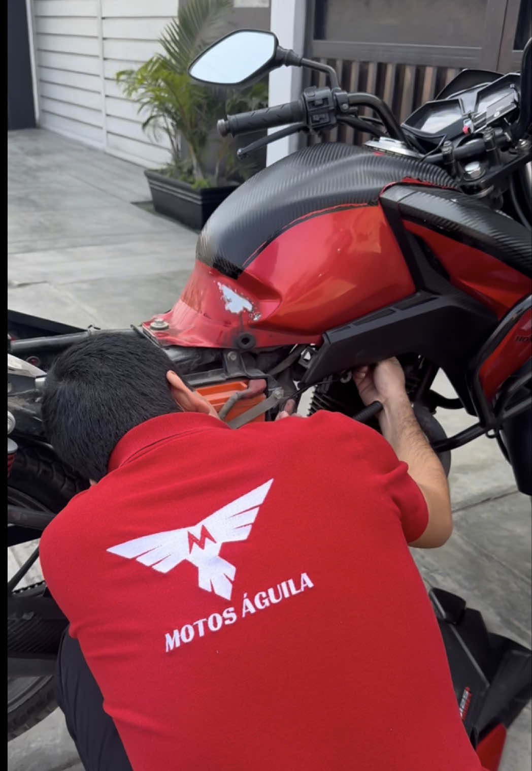 ⚡🔋 ¡Que nunca se te acabe la energía en la ruta! En Motos  Águila tenemos los cargadores de moto más 🔝, con instalación incluida para que salgas directo a la aventura 🏍️✨. 👉 Descubre nuestros accesorios, vive la mejor atención y equipa tu moto como se merece. 📲 Escríbenos al 966 072 410 para pedidos y más información. #MotosAguila #AccesoriosMoto #ViajerosEnMoto #CargaRapida #BikerLife      