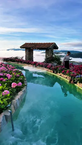 Địa điểm này ở Đà Lạt bây giờ  Hot quá 🥰🥰 săn mây ở đây đẹp ghê ☁️ 📍 Chuyện Của Nắng  #latnoitravel #dalatreviewtravel #chuyencuanang 