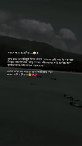 পারলে ক্ষমা করে দিও দুঃখ ছাড়া আর কিছুই দিতে পারিনি তোমাকে চেষ্টা করেছি সব সময় নিজের করে রাখতে,, কিন্তু আমার জীবনে তো সবই ব্যর্থতার ছাপ আমি হাজার চেষ্টা করেও পারলাম না তোমাকে নিজের করে রাখতে! আমি মরে গেলে কেনো দাবি রাখিও না🥹💔🥀#fyp #tiktok #trending #foryoupage #vairal @TikTok Bangladesh @For You 