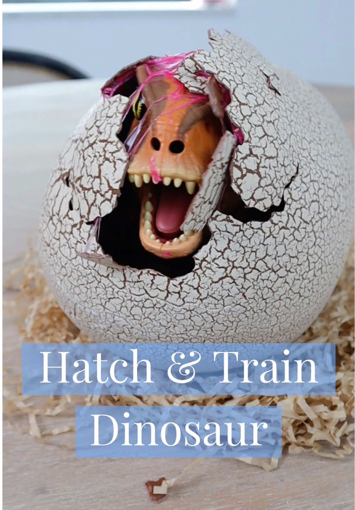 Is this how you become the fun parent? 🦖🙌 You can find this under ✨Kids & Toys✨ on my website. #amazon #parenting 