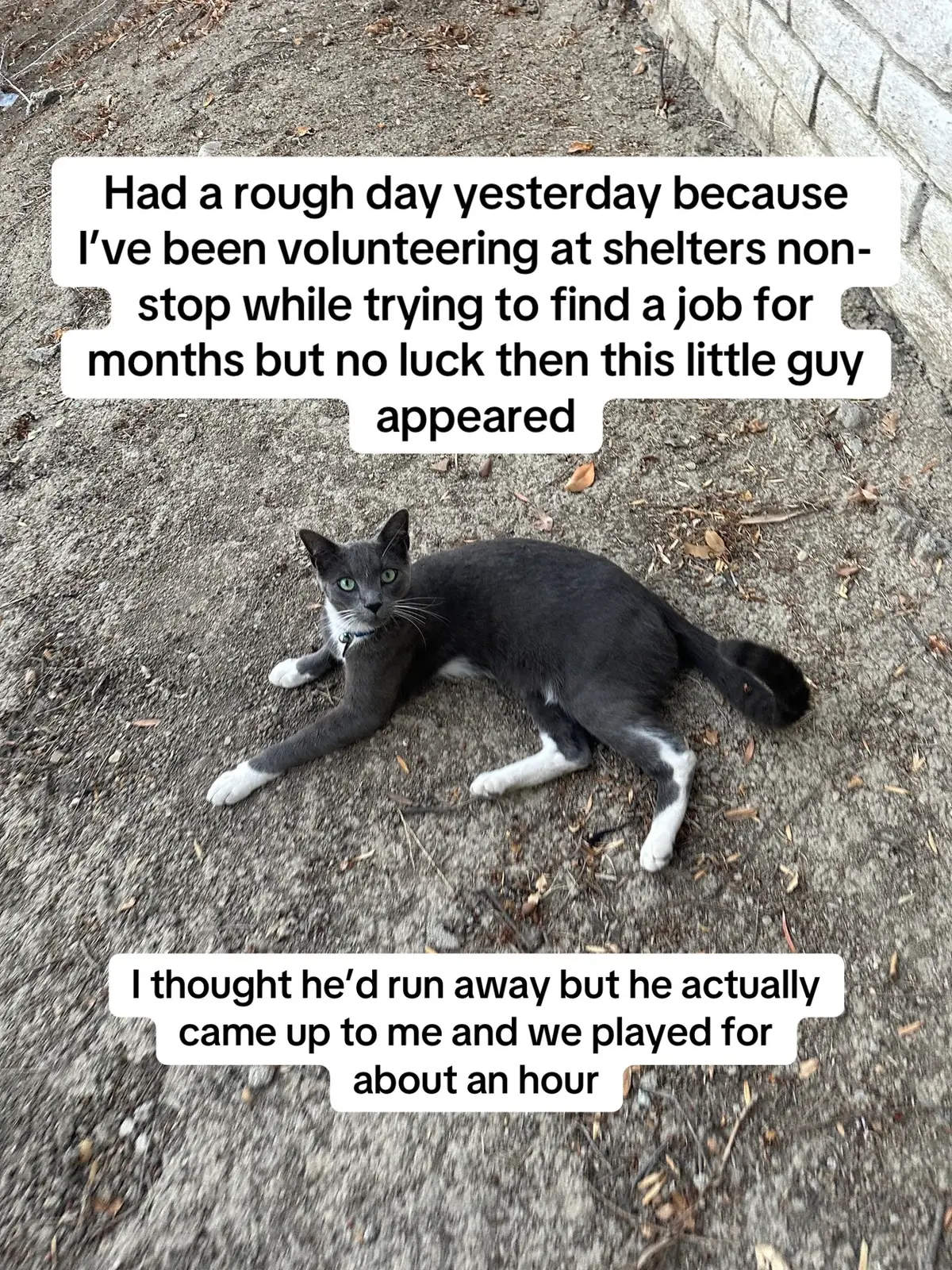 It’s rough out here but it’s not all bad when there’s moments like this 🤷‍♀️💕 #cats #sturggling #pets #dailycats #keepgoingdontgiveup 