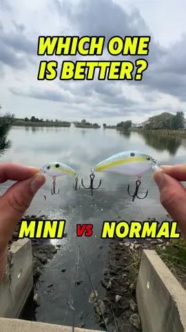 Mini Crankbait vs Normal Crankbait #fishing #crankbaits #fishingvideos #fishingtiktoks #tinylures 