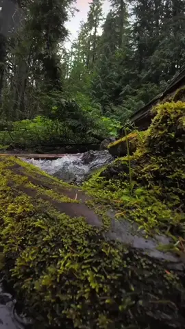 #creatorsearchinsights #အလ္လာဟ်အရှင်မြတ်မှတပါးခါးဝတ်ကိုးကွယ်ထိုက်သောအရှင်မရှိ💖☪🕌🕋