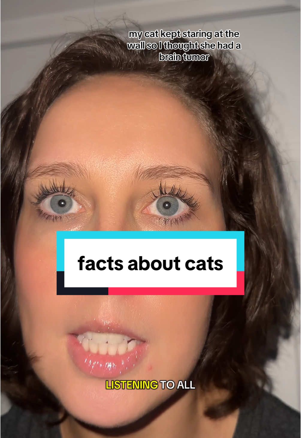 show me the cat #cat #AnimalFacts #foryourpage 