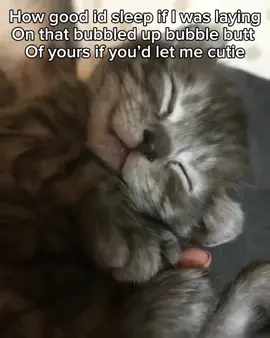 Just saying it was nice🤧 #cat #fyp #ilovemygf