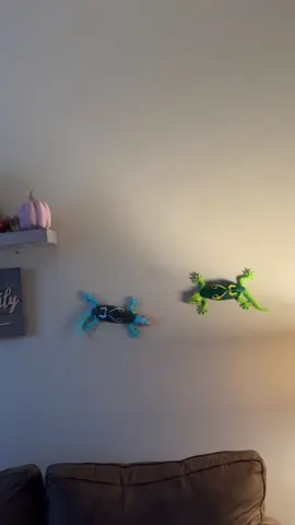@Winktoys Blocks Wonderland #wallcrawlergecko  #creatorsearchinsights #tiktokshopcreatorpicks #rushtok2025 #elevatedhome  