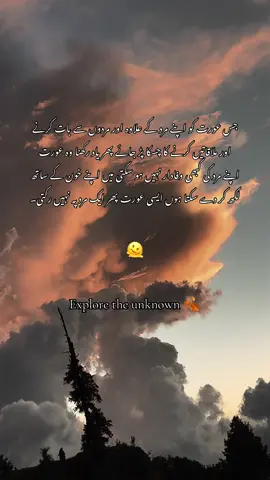 #fypシ゚ جس عورت کو اپنے مرد کے علاوہ اور مردوں سے بات کرنے اور ملاقاتیں کرنے کا چسکا پڑ جائے پھر یاد رکھنا وہ عورت اپنے مرد کی کبھی وفادار نہیں ہو سکتی میں اپنے خون کے ساتھ لکھ کر دے سکتا ہوں ایسی عورت پھر ایک مرد پہ نہیں رکتی