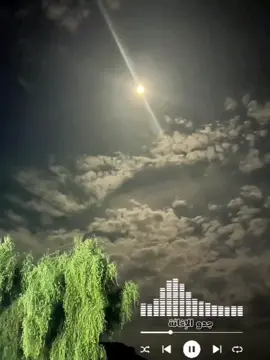 #أشوار___البيظان #الهول_الحساني #الشعب_الصيني_ماله_حل😂😂 