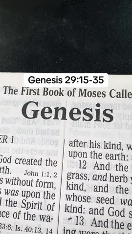 #TheLordJesusChrist #Messiah #GospelKJV #ScriptureReadingFYP #TheMightyGod 