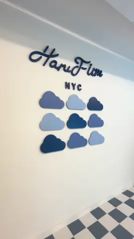 we could’ve spent all day in this store 💙☁️ #fyp #foryou #kpop #kpopfyp #newyork 