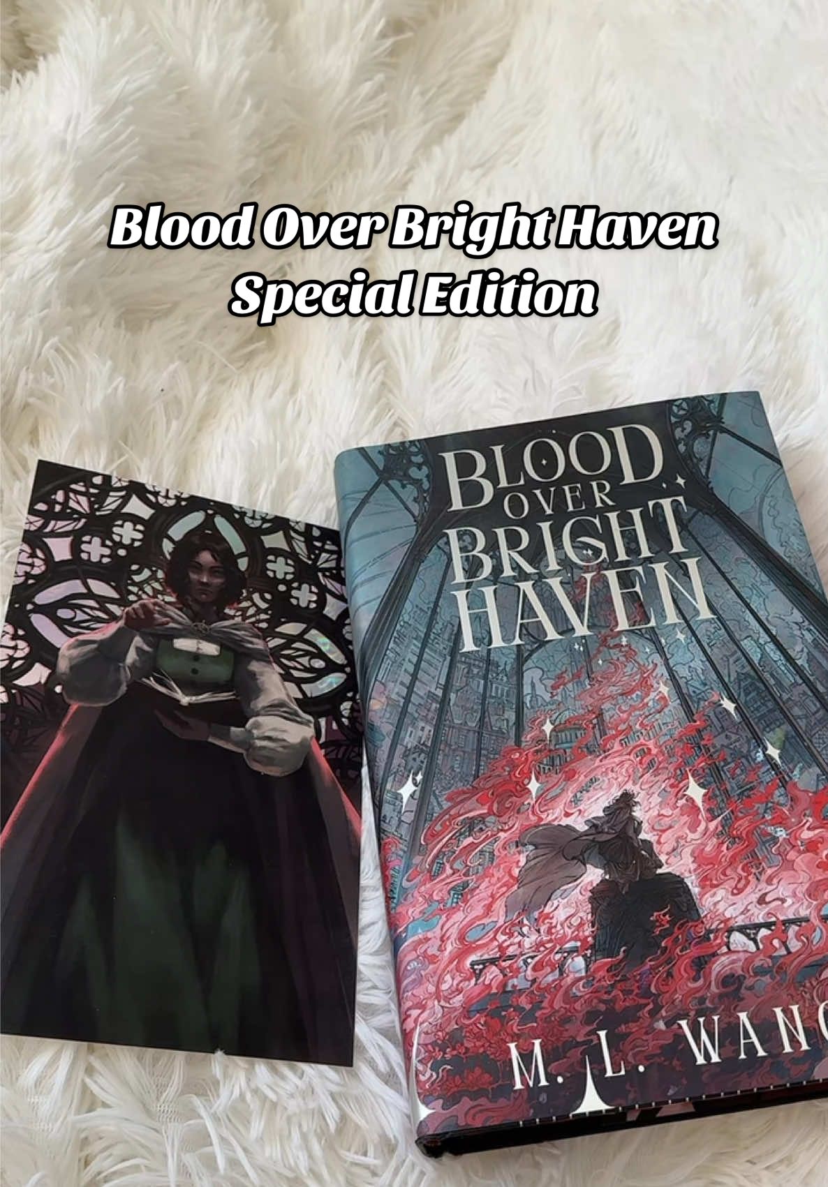 This book means so much to me. I’m so happy I finally got the special edition of Blood Over Bright Haven ❤️‍🔥 #mlwang #BookTok #bookmail #specialedition #bloodoverbrighthaven 