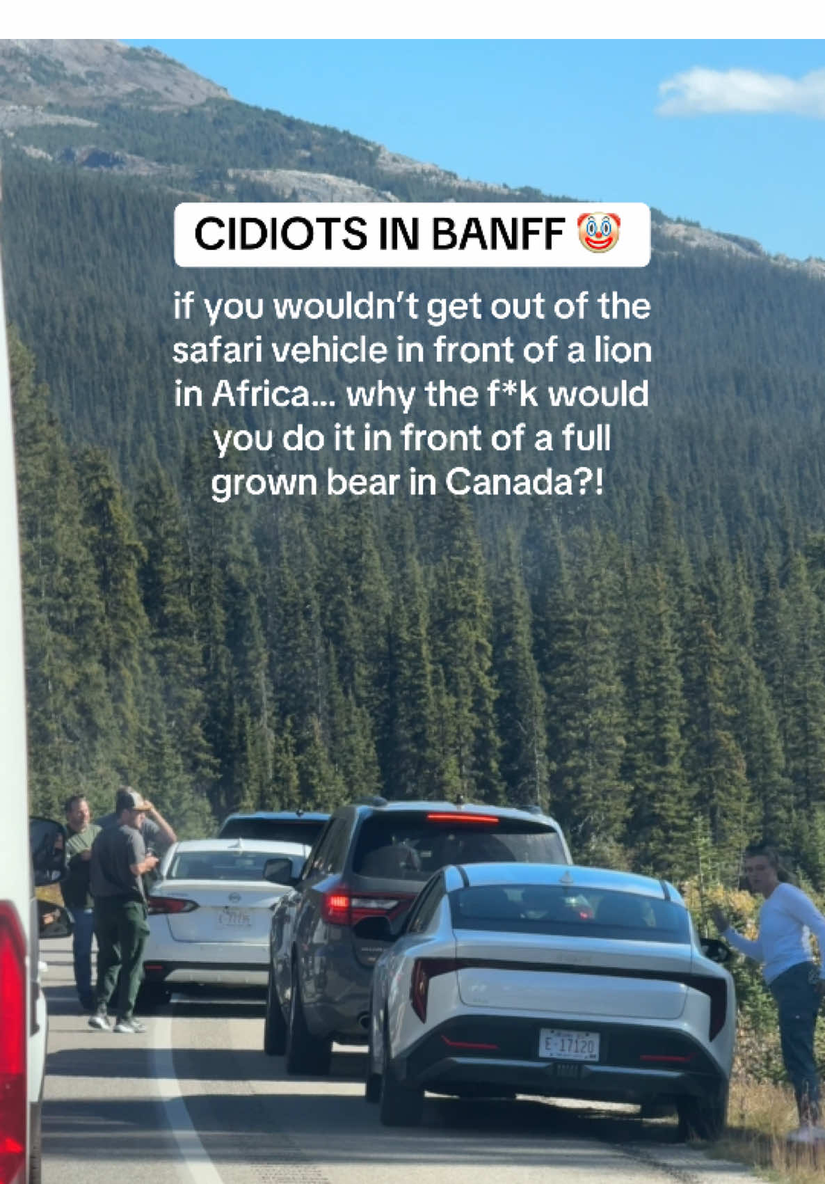Can somebody please explain why tourists risk their lives and the life of the bear just for a photo that nobody will ever see? 🙃  I cannot WAIT for summer to be over… #banffnationalpark #icefieldsparkway 