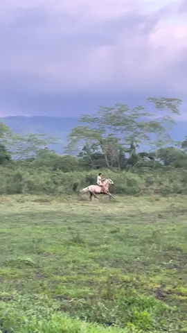 #paratiiiiiiiiiiiiiiiiiiiiiiiiiiiiiii  @Yorjan Mejias Que pasó colorao 🤣