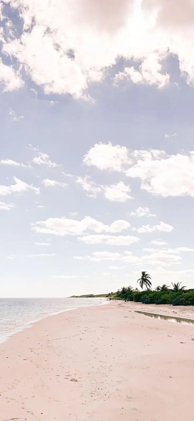 #بسم_الله_الرحمن_الرحيم #🤲🕋🌿🕊 