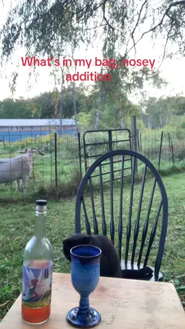 What the hell is in my purse?! If you are like me, inquiring minds want to know. Brought to you by Summer Fling, a mead that is yummy… it’s a strawberry and banana #whatsinmypurse #whatsinmybag #nosey #noseybitch #mead 