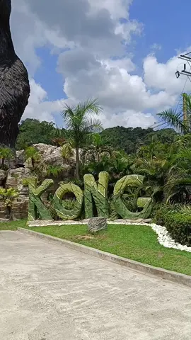 DIN KONG | RESORT PARK 🦕🦖🦍🐾 #turismo #aventura #fypシ゚ #villatunari🌴 #cochabamba_bolivia🇧🇴 