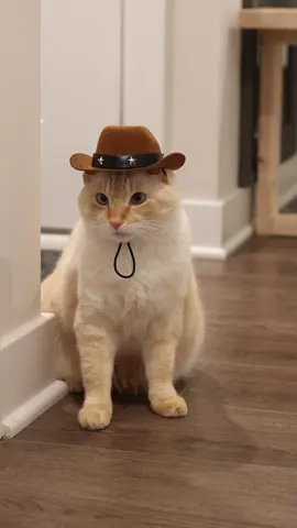 အသူ့ Cowboy လေးလဲ ❤️