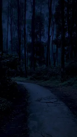 really miss my past life