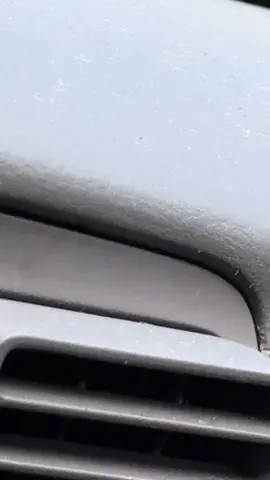 #sandcranes #birdsoftiktok #birds #endsngeredspecies 