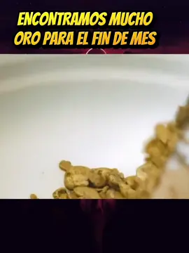Este mes nos fue muy bien buscando ORO en los ríos nos salvo de la pobreza #oro #riqueza #aventura #busquedadeoro 