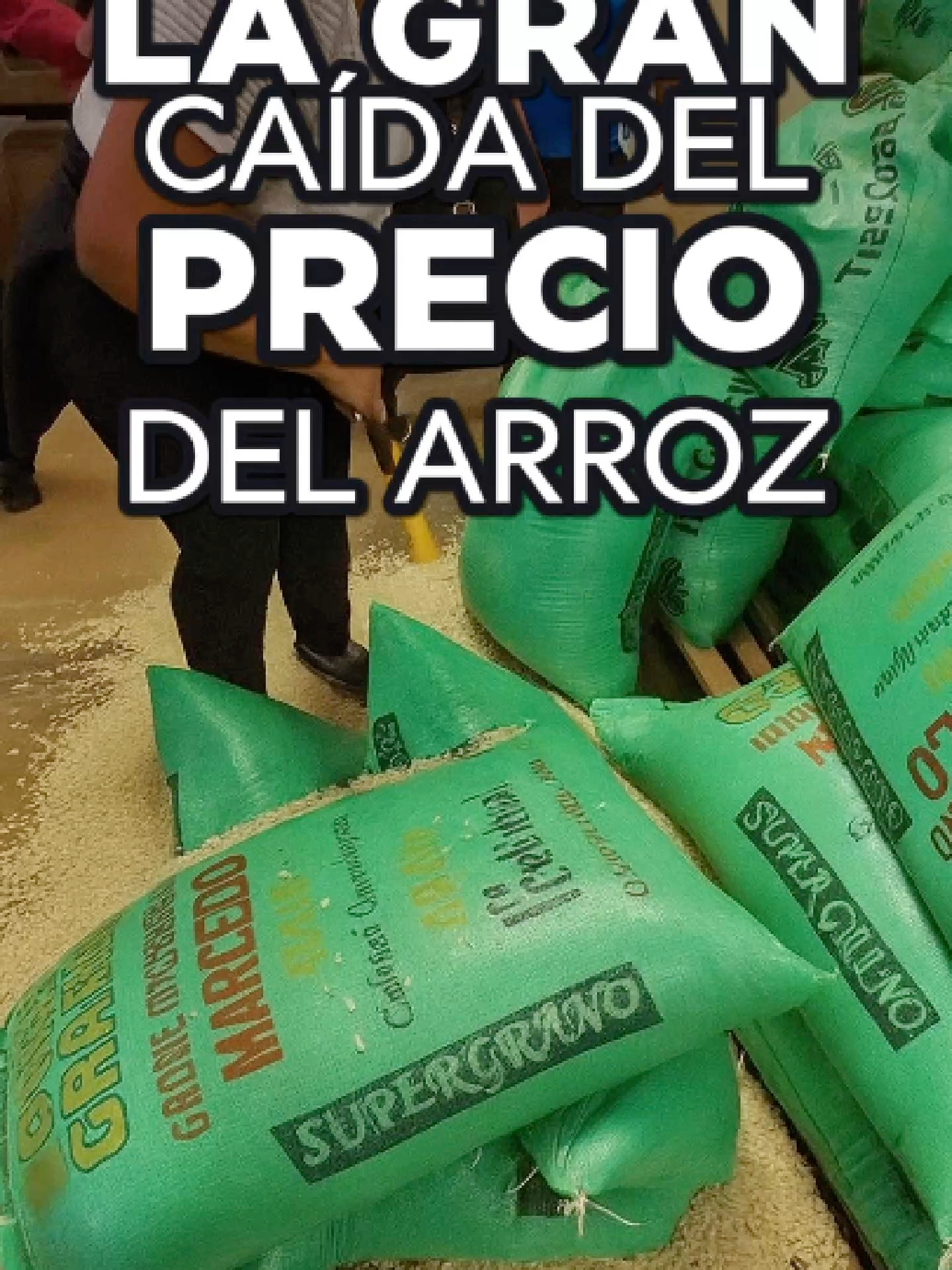 Los precios internacionales del arroz han caído hasta niveles que no se veían desde 2017, como resultado de una sobreoferta global que está desafiando la estabilidad del mercado. Destaca que el arroz blanco tailandés de referencia se cotiza actualmente a USD 370 por tonelada, cifra récord a la baja, mientras que países como India han vuelto a reingresar al mercado exportador, liberando enormes volúmenes que intensifican la competencia y presionan a la baja los valores.  Para los países latinoamericanos productores, esta dinámica supone un golpe duro. En Brasil, por ejemplo, entre enero y agosto de 2025 el valor FOB del arroz cayó de USD 397 por tonelada en 2024 a USD 304, pese a que el volumen siguió alto. La industria ya siente márgenes extremadamente ajustados, y la urgencia de diversificar destinos se vuelve concreta ante mercados tradicionales que pagan mucho menos.  Argentina también amplió su producción agrícola en el ciclo 2024/25 con un aumento del 34 % interanual, pero la caída de precios redujo dramáticamente los ingresos esperados. Lo mismo ocurre en Uruguay: su producción mantiene volumen, pero los precios deprimidos han llevado a que algunos productores operen con pérdidas antes de cubrir incluso los costos de campo.  Este escenario obliga a repensar estrategias. Para los productores latinoamericanos, no bastará con producir más: habrá que optimizar cadena logística, apuntar a destinos emergentes, apalancarse en calidad y certificaciones, y buscar valor agregado que permita escapar de la guerra de precios. Si no, la rentabilidad del cultivo podría volverse insostenible en medio de una oferta global voraz. #commodities #agricultura #desafioagro #crisiseconomica #mercadointernacional #alimentos #inversionagricola #rentabilidad #cambioclimatico #noticiaseconomicas #americalatina #importaciones #foodsecurity #arrozlatam #economiaagricola #producciondearroz #exportacion #valoragregado #innovacionagropecuaria #rickportaciones #comerdata #precioarroz