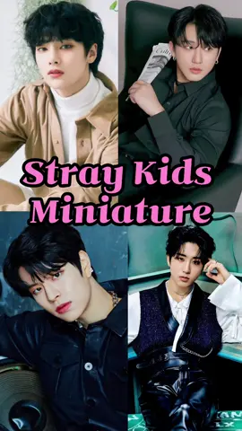 straykids miniature #straykids #han #IN #seungmin #changbin
