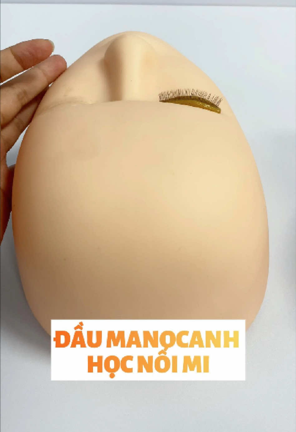 Đầu canh tập nối mi, đầu manocanh học nối mi, đầu manocanh, đầu canh #daumanocanh #daucanhhocnoimi #dungcunoimi 