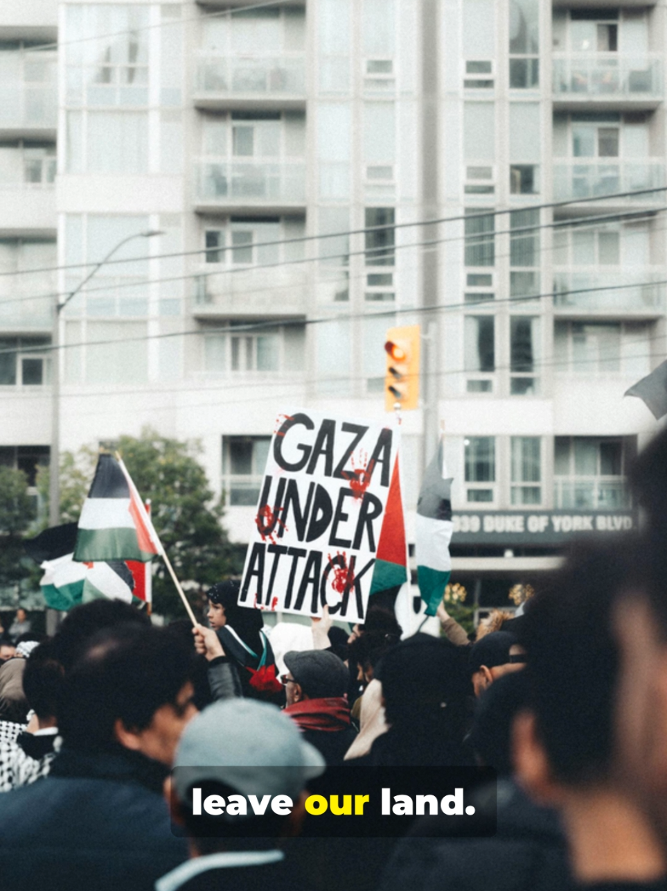 Gaza's Struggle: Hope Amid the Rubble🕊🤍✨️#غزه #فلسطين #اوقفوا_الحرب #ساعدوا_اهل_غزة #جيش_عربي_موحد 