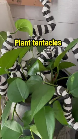 These are so fun to make! And so fun sticking in all your plants! 