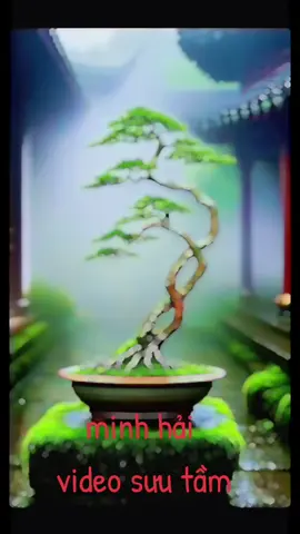 vài mẫu cây cho ae tham khảo 🥰🥰🥰