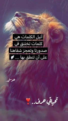 #الكويت #قلمي #الرياض #حرف #قطر 