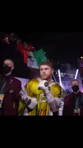 Canelo Alvarez🇲🇽 #canelo #caneloalvarez #boxingedit #boxing🥊 #foryoupage 